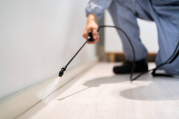 Licensed Termite Control service in Tulsa, OK - Nex Pest Control