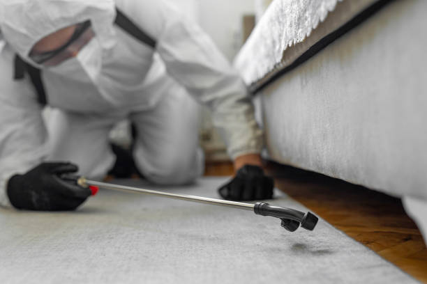 Professional Termite Control technician working in Tulsa, OK