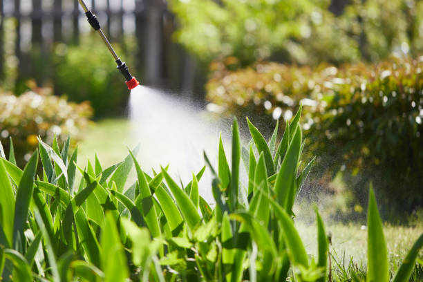 24/7 Emergency Termite Control experts in Tulsa, OK