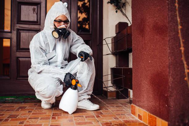 Reliable Termite Control contractor in Tulsa, OK by Nex Pest Control