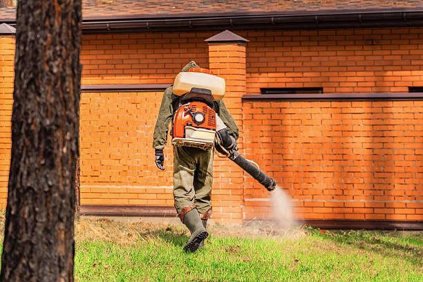 Top rated local Termite Control specialists in Tulsa, OK
